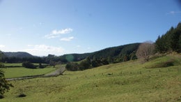 73098_1.jpg