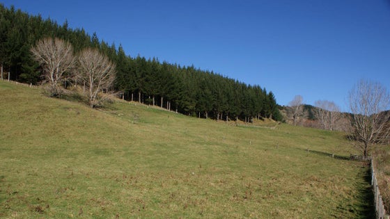 73098_3.jpg