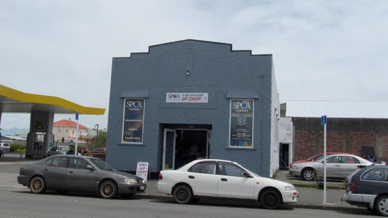 73283_3.jpg