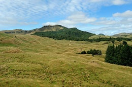 73357_1.jpg