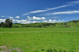 73612_1.jpg