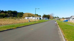 74351_1.jpg
