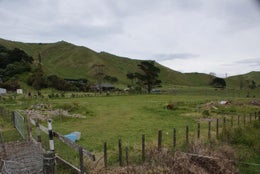 74567_1.jpg
