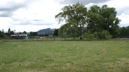 74595_1.jpg