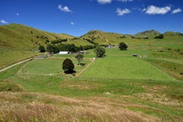 74642_1.jpg