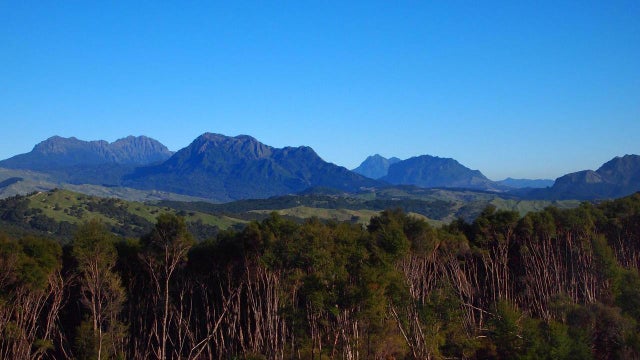 Rural Tender: Whareponga Road, Ruatoria, Gisborne | Bayleys