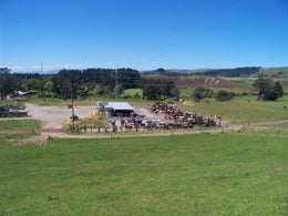 750692_1.jpg