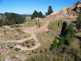 751052_1.jpg