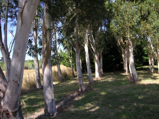751137_2.jpg