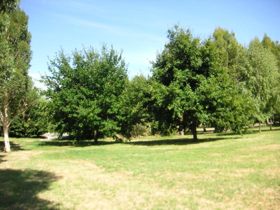 751137_3.jpg