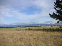 751267_1.jpg