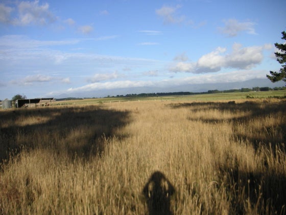 751267_2.jpg