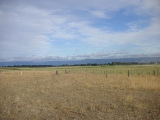 751267_3.jpg