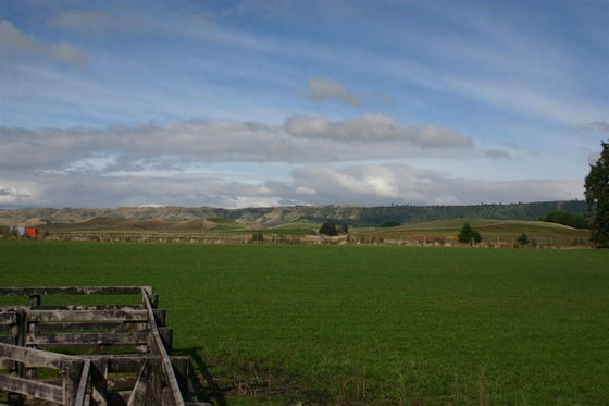 751492_2.jpg