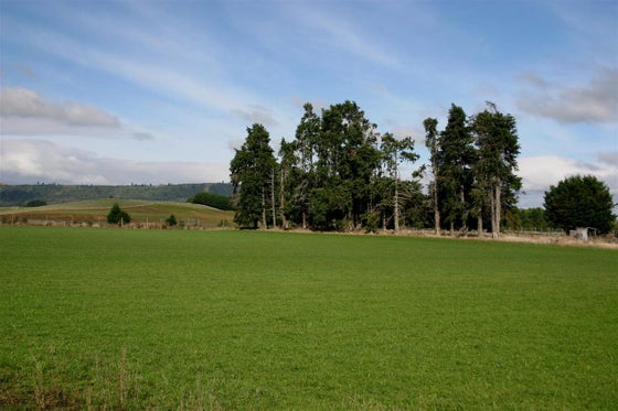 751492_3.jpg