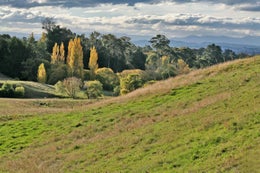 751549_1.jpg