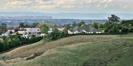 751549_3.jpg