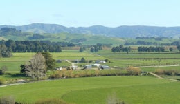 751894_1.jpg