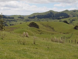 752352_1.jpg