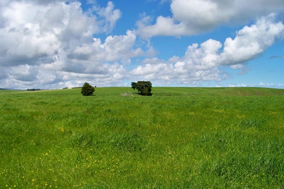 752424_3.jpg
