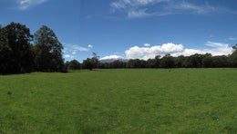 752598_1.jpg