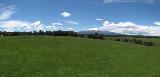 752598_3.jpg
