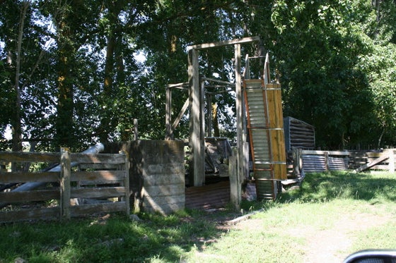 752639_3.jpg