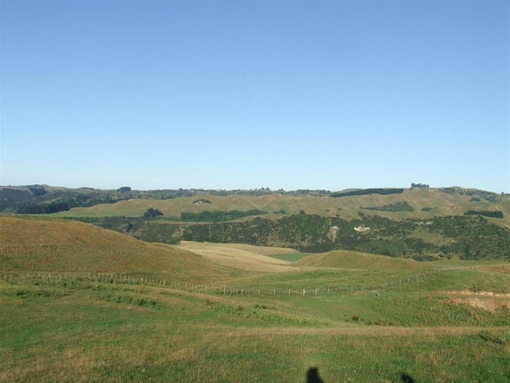 752926_2.jpg