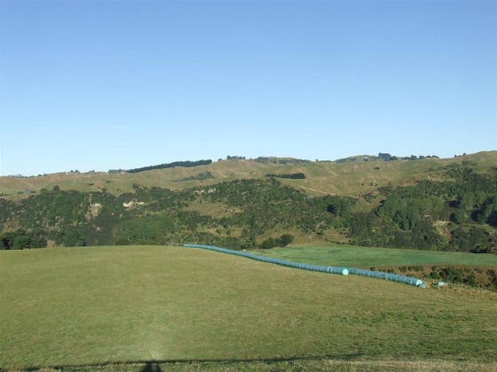 752926_3.jpg