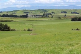 753038_1.jpg