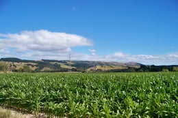 753085_1.jpg