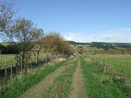 753164_1.jpg