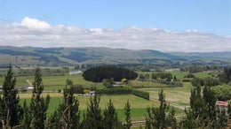 753226_1.jpg