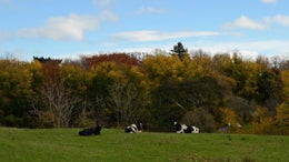 753420_1.jpg