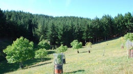 753476_1.jpg