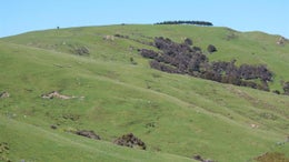 753676_1.jpg