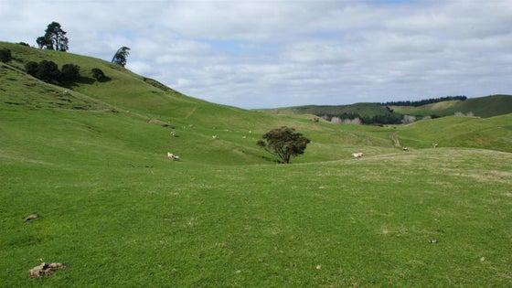753708_2.jpg