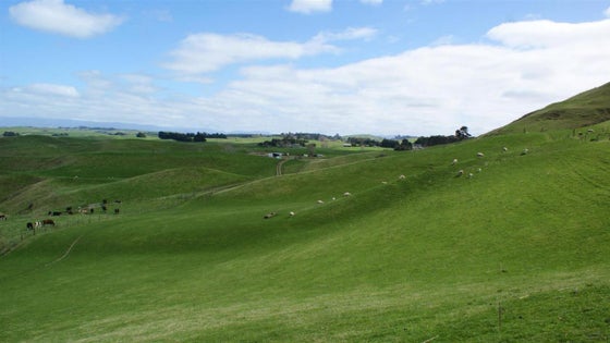753708_3.jpg