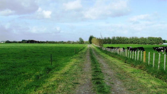 753972_2.jpg