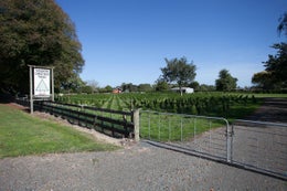 810038_1.jpg