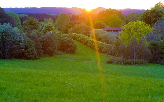 810247_2.jpg