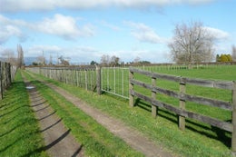 810311_1.jpg