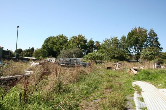 811297_3.jpg