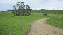 812010_1.jpg