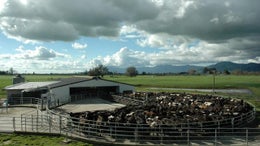 812012_1.jpg