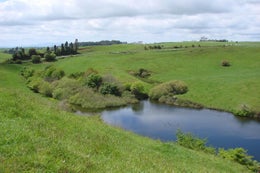 812198_1.jpg