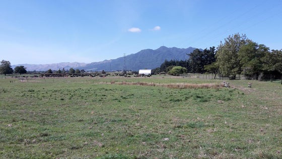 812638_2.jpg