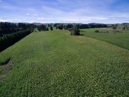 812674_1.jpg