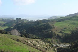 812793_1.jpg