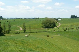 813276_1.jpg